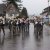 Archiv - 2017 - Jubiläumsumzug - Umzug